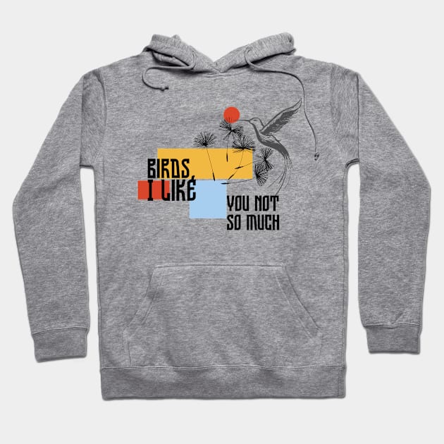 birds i like you not so much Hoodie by Transcendexpectation